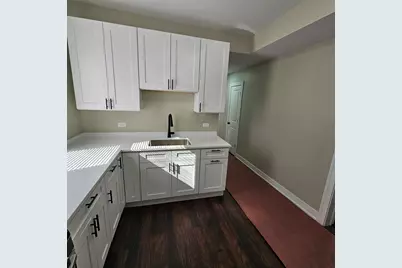 717 N Homan Avenue, Chicago, IL 60624 - Photo 14