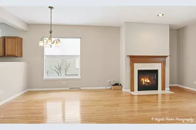 54 Rocking Horse Lane, Grayslake, IL 60030 - Photo 6