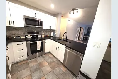 345 N La Salle Drive #205, Chicago, IL 60654 - Photo 4