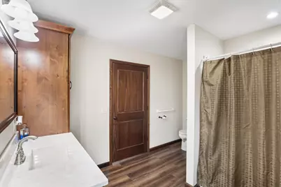 204 S Henry Street, Ashkum, IL 60911 - Photo 18