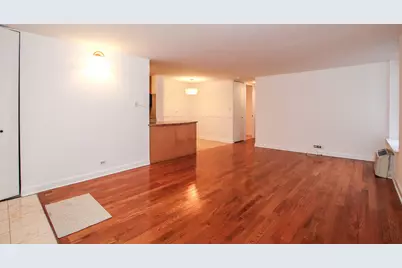 1339 N Dearborn Street #4A, Chicago, IL 60610 - Photo 6