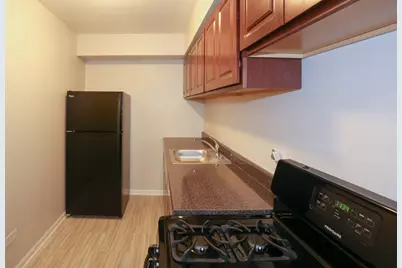 1040 W Hollywood Avenue #205, Chicago, IL 60660 - Photo 4