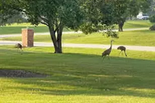 41W900 Northway Dr, Elburn, IL 60119 - Photo 36