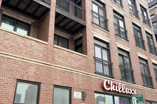 218 N Halsted St, Chicago, IL 60661 - Photo 2