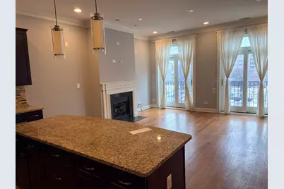 218 N Halsted Street #3, Chicago, IL 60661 - Photo 4