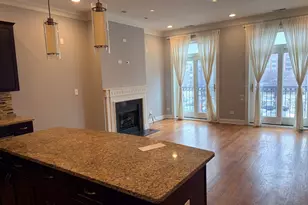 218 N Halsted St, Chicago, IL 60661 - Photo 4