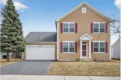 411 Hopkins Avenue, Elgin, IL 60124 - Photo 1