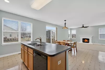 411 Hopkins Avenue, Elgin, IL 60124 - Photo 12