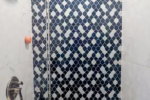 7931 S Paxton Ave, Chicago, IL 60617 - Photo 12