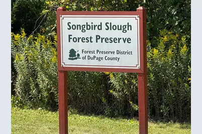 330 S Maple Street, Itasca, IL 60143 - Photo 66