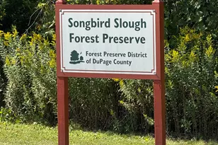 330 S Maple St, Itasca, IL 60143 - Photo 66