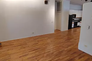 2059 W Grand Ave, Chicago, IL 60612 - Photo 4