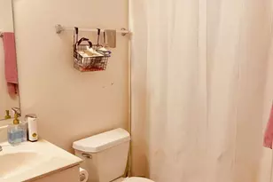 3115 S Michigan Ave, Chicago, IL 60616 - Photo 12