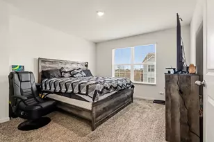 562 Spring Leaf Dr, Joliet, IL 60431 - Photo 18