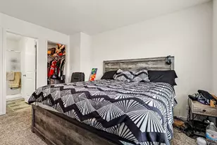 562 Spring Leaf Dr, Joliet, IL 60431 - Photo 20