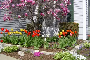 311 Briarwood Ln, Algonquin, IL 60102 - Photo 54