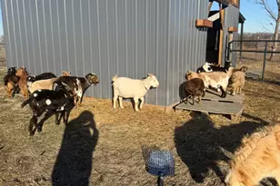 4239 Seven Hills Rd, Odin, IL 62870 - Photo 58