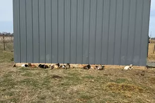 4239 Seven Hills Rd, Odin, IL 62870 - Photo 62