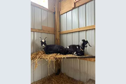 4239 Seven Hills Road, Odin, IL 62870 - Photo 56