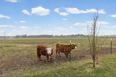 4239 Seven Hills Road, Odin, IL 62870 - Photo 6