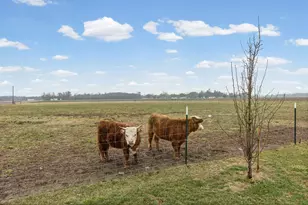 4239 Seven Hills Rd, Odin, IL 62870 - Photo 6