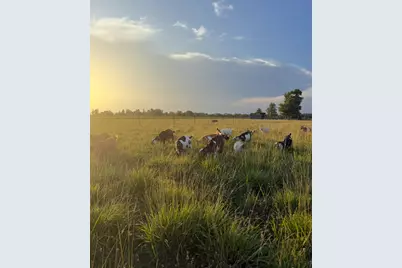 4239 Seven Hills Road, Odin, IL 62870 - Photo 42