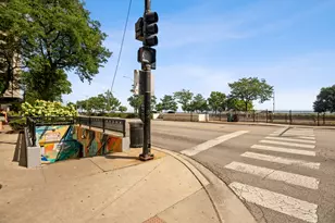 1150 N Lake Shore Dr, Chicago, IL 60611 - Photo 32