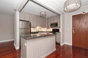 401 E Ontario St, Chicago, IL 60611 - Photo 8