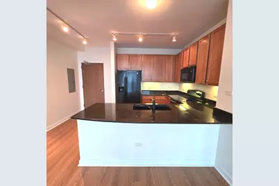 1841 S Calumet Avenue #1702, Chicago, IL 60616 - Photo 2