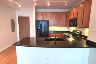 1841 S Calumet Ave, Chicago, IL 60616 - Photo 2