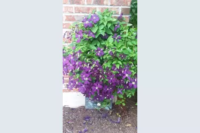 21249 Lily Lake Lane, Crest Hill, IL 60403 - Photo 40