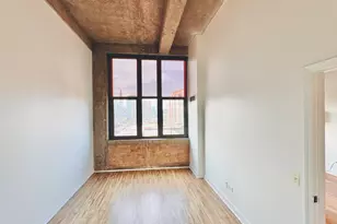 320 E 21st St, Chicago, IL 60616 - Photo 10