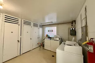 317 Wisconsin Ave, Oak Park, IL 60302 - Photo 10