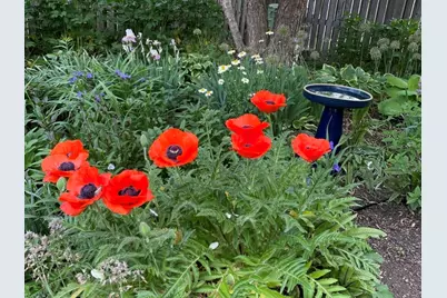 1007 River Oak Drive, Naperville, IL 60565 - Photo 32