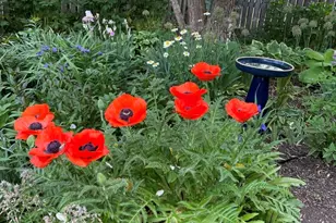 1007 River Oak Dr, Naperville, IL 60565 - Photo 32