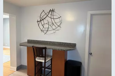 5049 N Oak Park Avenue, Chicago, IL 60656 - Photo 8