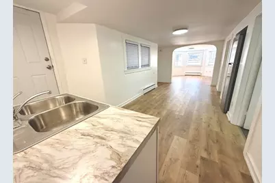 3215 S Lowe Avenue, Chicago, IL 60616 - Photo 32