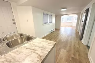 3215 S Lowe Ave, Chicago, IL 60616 - Photo 32