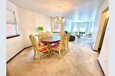 3215 S Lowe Avenue, Chicago, IL 60616 - Photo 22