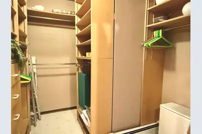 3215 S Lowe Avenue, Chicago, IL 60616 - Photo 16