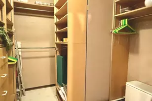 3215 S Lowe Ave, Chicago, IL 60616 - Photo 16