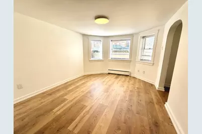 3215 S Lowe Avenue, Chicago, IL 60616 - Photo 30