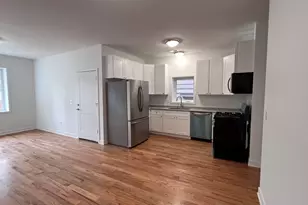 226 W 24th St, Chicago, IL 60616 - Photo 4