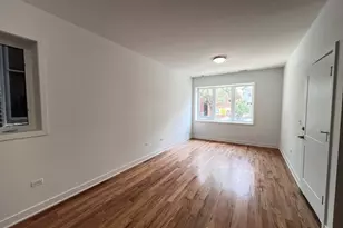 226 W 24th St, Chicago, IL 60616 - Photo 2