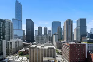 [Address not provided], Chicago, IL 60654 - Photo 20