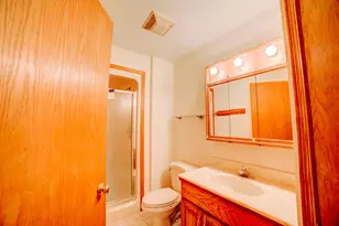 103 Chickasaw Ln, Loda, IL 60948 - Photo 38