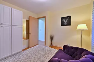 5247 N Mulligan Ave, Chicago, IL 60630 - Photo 10