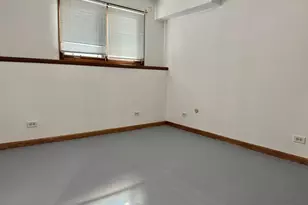 250 Anita St, Des Plaines, IL 60016 - Photo 14