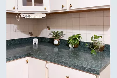 3147 S Throop Street, Chicago, IL 60608 - Photo 16