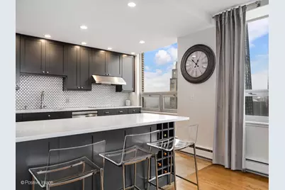 1000 N Lake Shore Plaza #39C, Chicago, IL 60611 - Photo 10